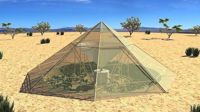 skleník v poušti